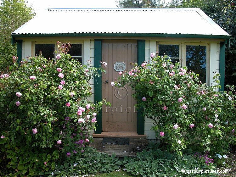 roses-cottage-door